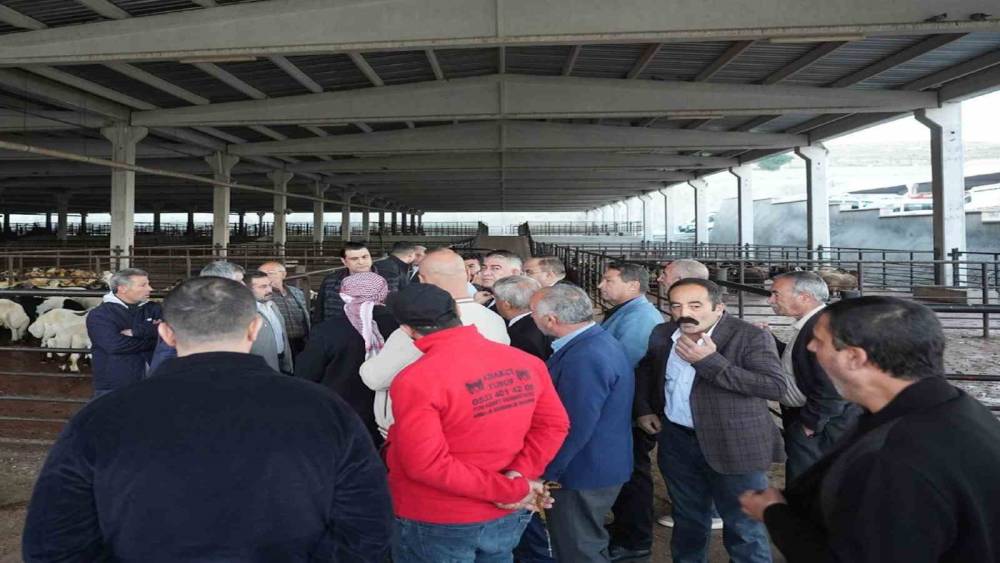 Yılmaz’dan et müjdesi