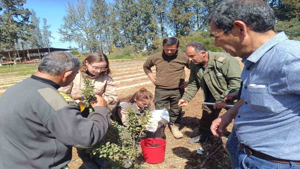 İzmir’in damla sakızı KKTC’de toprakla buluştu