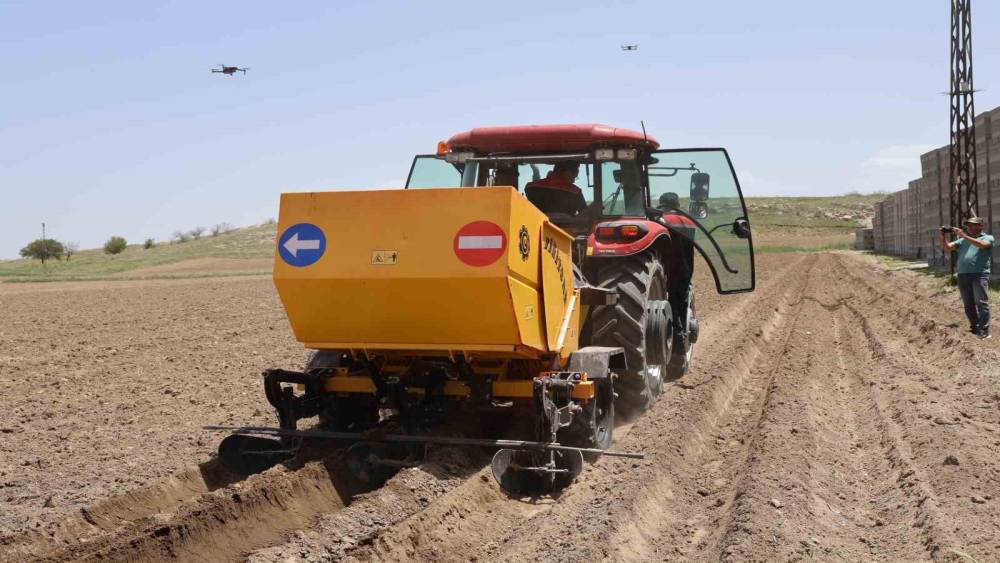 12 bin 500 dekar alan ekime açıldı
