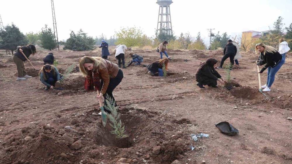 Kadına yönelik şiddete dikkat çekmek amacıyla fidan dikim etkinliği yapıldı
