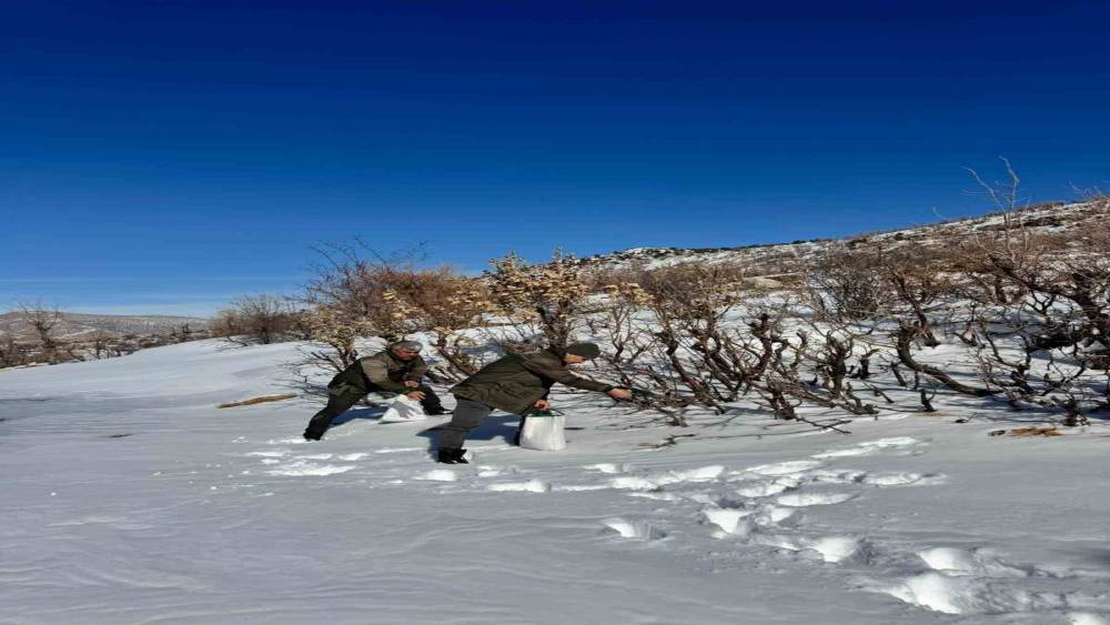Gerc&uuml;ş&rsquo;te orman ekibi doğadaki canlıları yalnız bırakmadı

