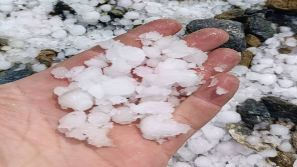 Malatya’da dolu kayısı bahçelerine zarar verdi