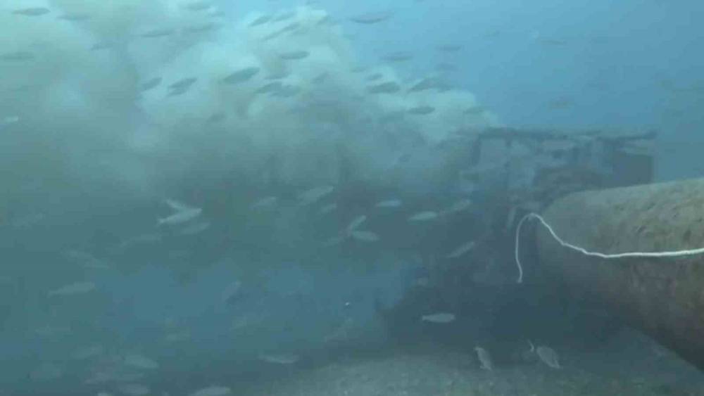 Çanakkale’de boğaza dökülen atık su ile karşılaşan dalgıç, o anları su altı kamerasıyla kaydetti
