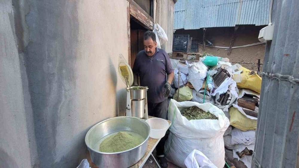 Doğanın hediyesi: 120 bitkiden oluşan zetrin baharatı yeniden keşfediliyor
