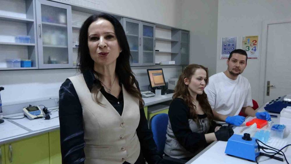 Tuz G&ouml;l&uuml;&rsquo;n&uuml;n dayanıklı bitkileri &ccedil;orak toprakları yeniden canlandırmak i&ccedil;in inceleniyor
