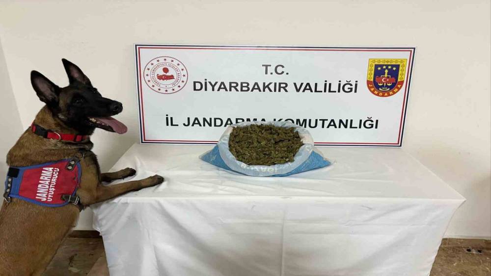 Diyarbakır&rsquo;da 23 kilo esrar ele ge&ccedil;irildi
