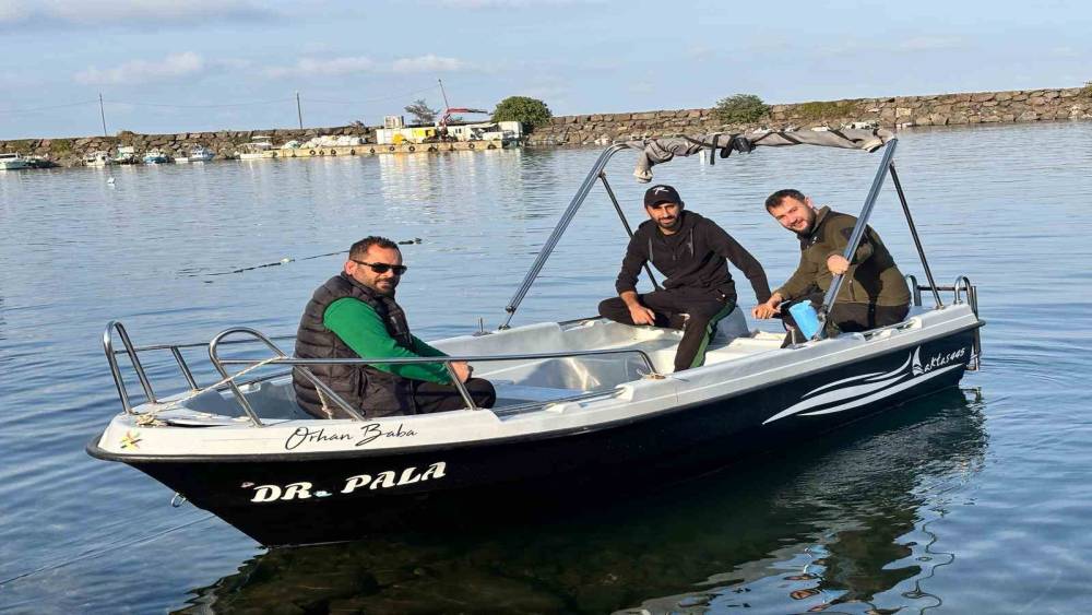 Trabzon kıyılarında köpek balığı hareketliliği arttı
