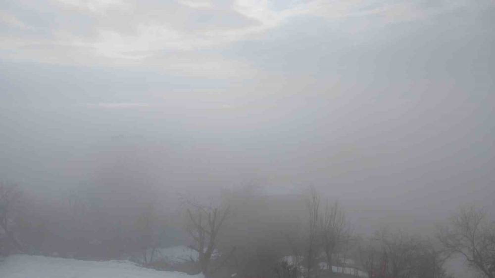 Kulp il&ccedil;esinde yoğun sis etkili oldu
