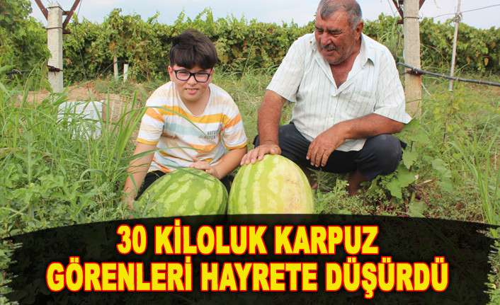 30 KİLOLUK KARPUZ GÖRENLERİ HAYRETE DÜŞÜRDÜ