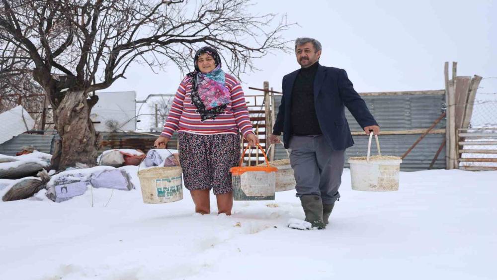 Elazığ&rsquo;da besicilerin kış mesaisi
