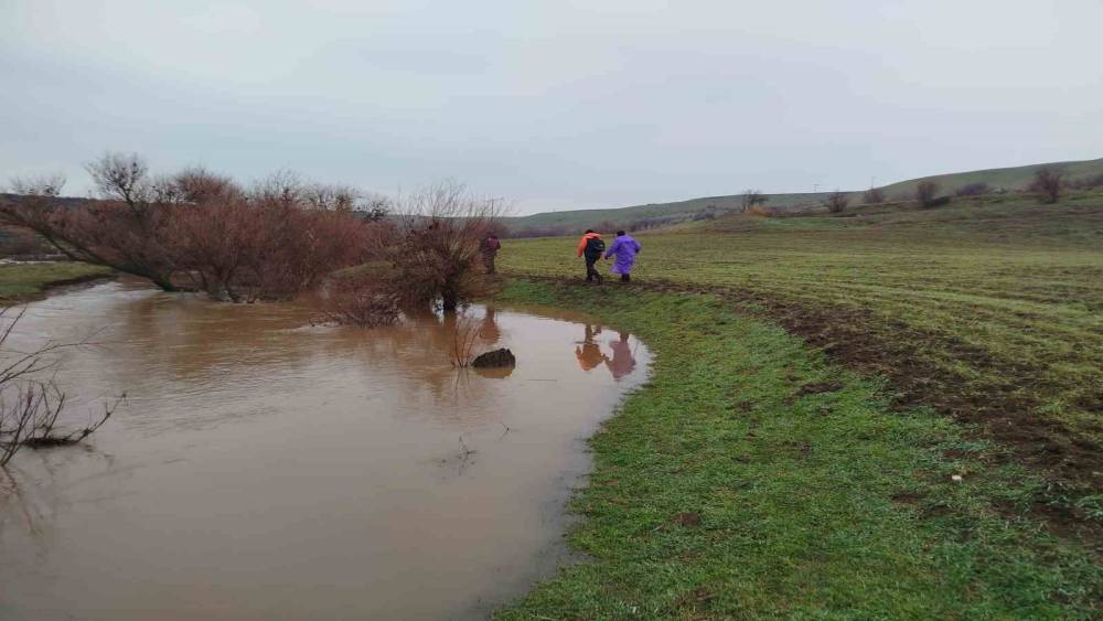 379 kişi iz takip ve kadavra k&ouml;peğiyle kayıp kadını arıyor
