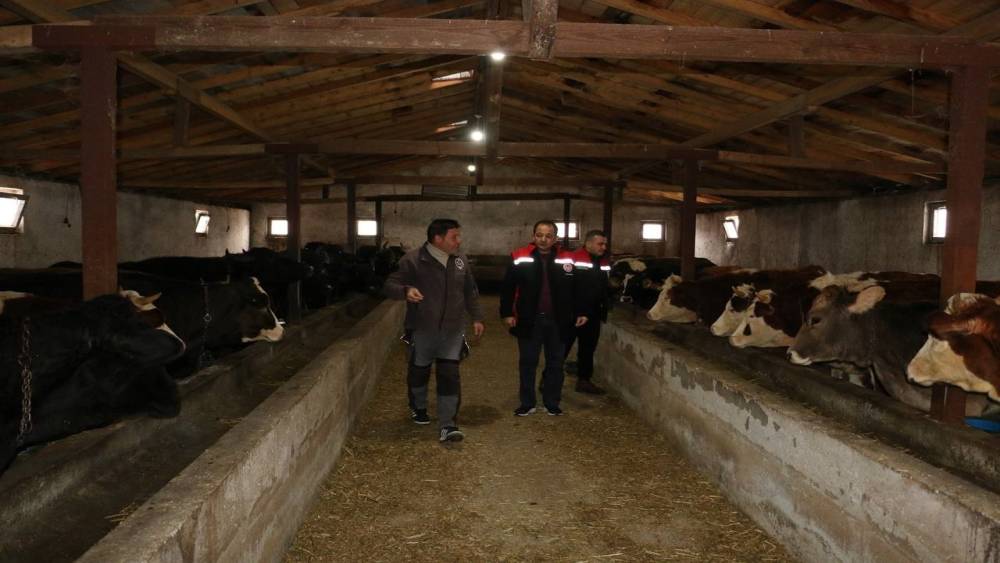 Erzincan&rsquo;da manda yetiştiriciliği i&ccedil;in araştırmalar s&uuml;r&uuml;yor
