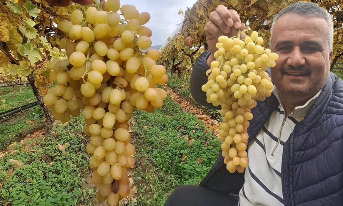 AÇIK SOĞUK HAVA DEPOSU GİBİ!