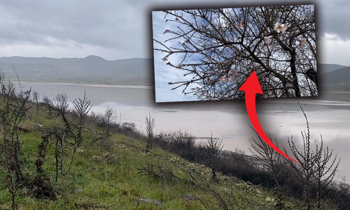 ALAŞEHİR&rsquo;İ ENDİŞE SARDI! UZMANLAR UYARDI&hellip;