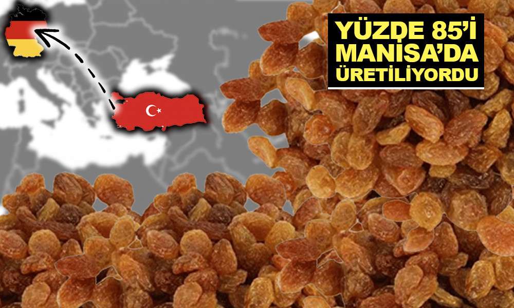 ALMANYA’YA GÖNDERİLEN KURU ÜZÜMLERDE ‘TEHLİKE’ ALARMI!