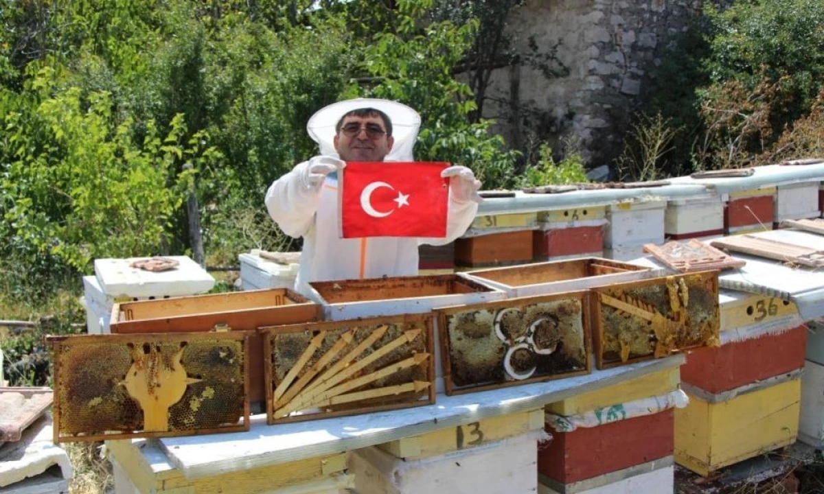 Amasya&rsquo;da arıların se&ccedil;imi sonu&ccedil;landı