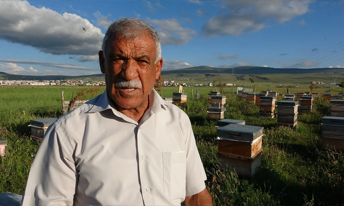 Ardahan’da 450 Ton Bal Üretildi