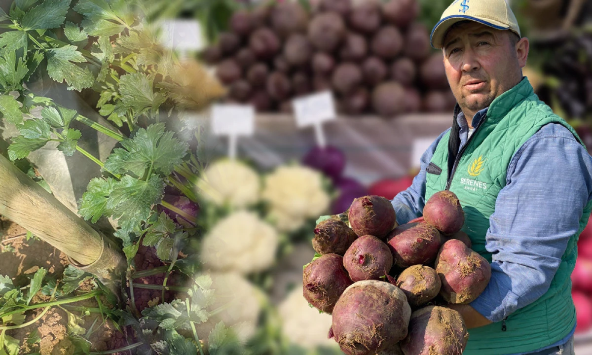 ATA TOHUMLARI CANLANDI