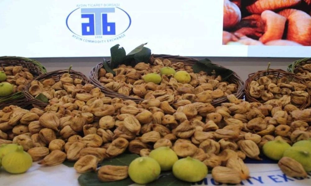 Aydın&rsquo;da sezonun ilk kuru inciri 850 liradan satıldı