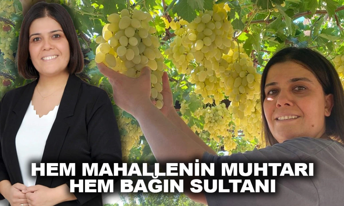 AYŞE MUHTAR ÜZÜMÜN SULTANI OLDU