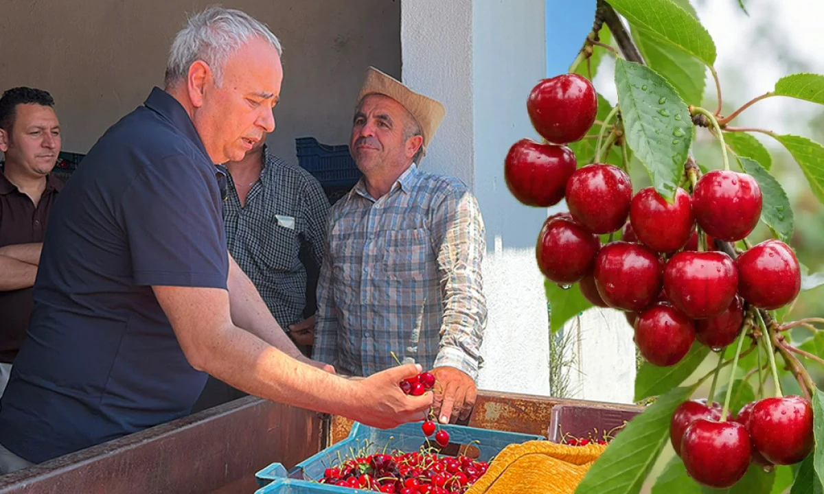 BAKIRLIOĞLU'DAN YENİDEN D&Uuml;ZENLEME &Ccedil;AĞRISI