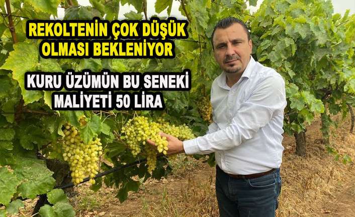 BAŞEVİRGEN: KURU &Uuml;Z&Uuml;M 65 TL&rsquo;NİN ALTINDA OLMAMALI 