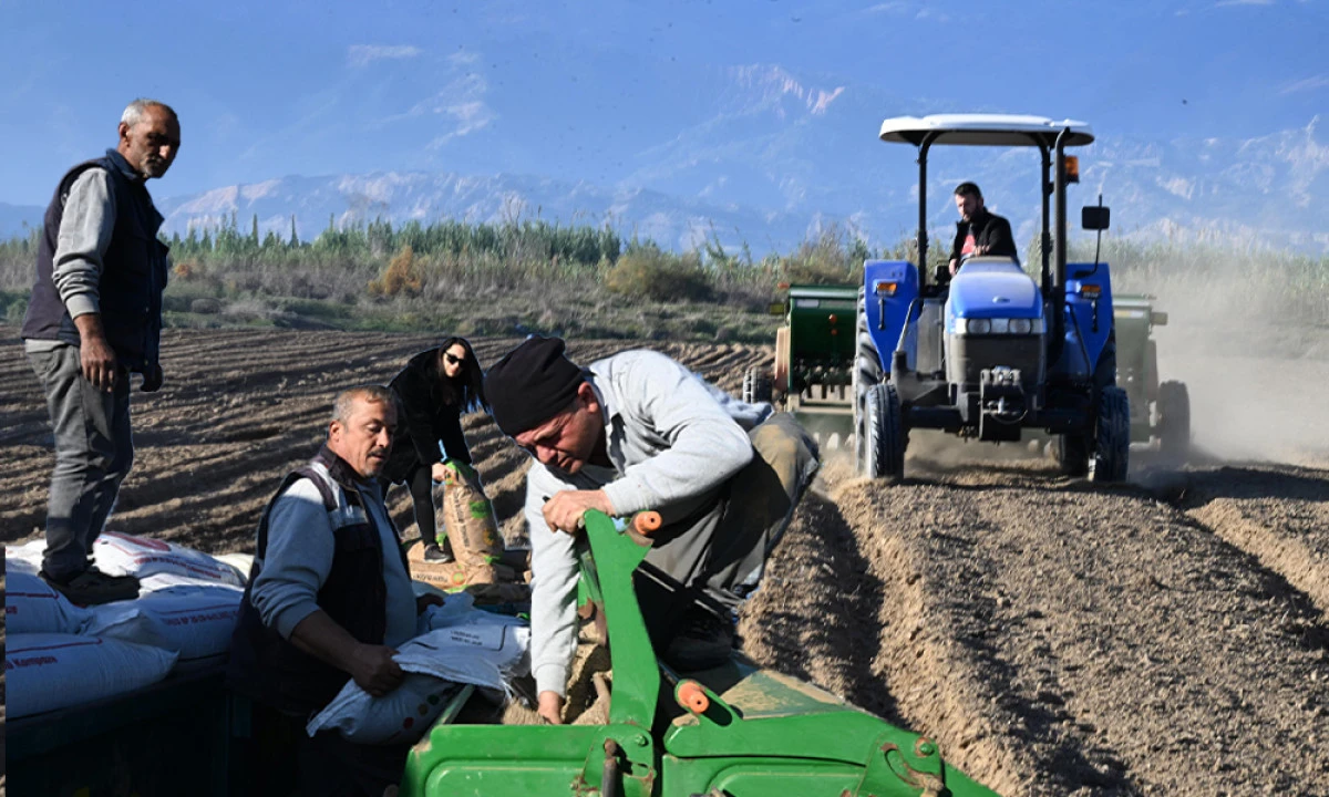 BELEDİYE KENDİ BUĞDAYINI EKİYOR