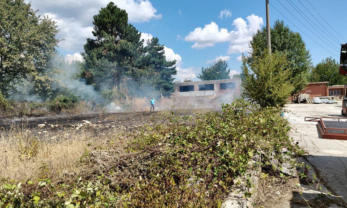 Bolu’da Ot Yangını Büyümeden Söndürüldü