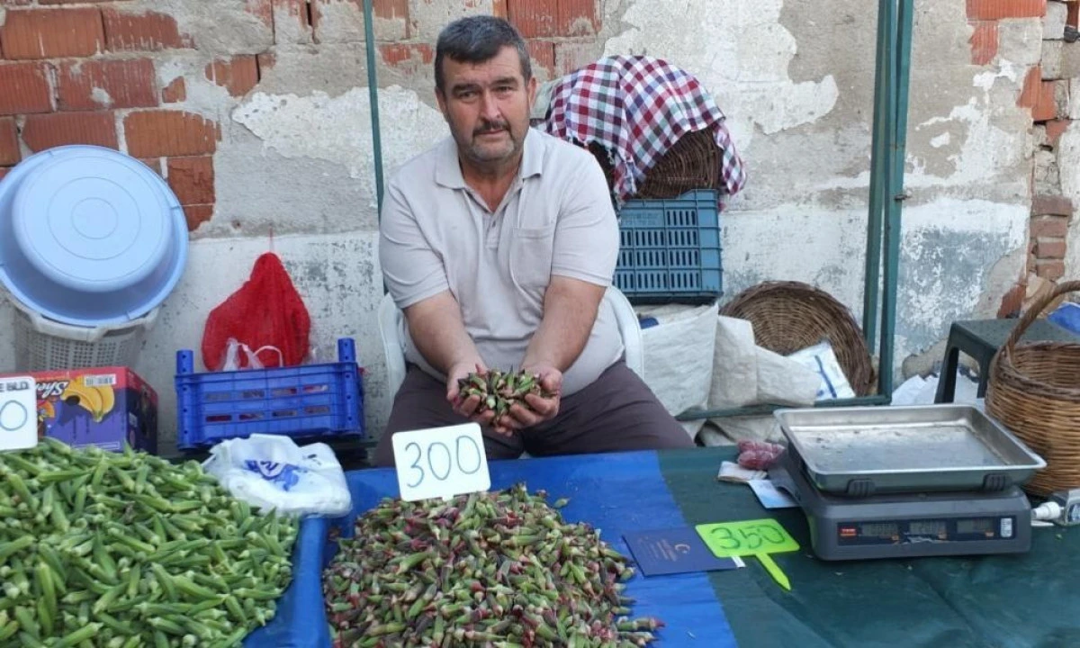 Burhaniye&rsquo;de kınalı bamya ilgi g&ouml;rd&uuml;