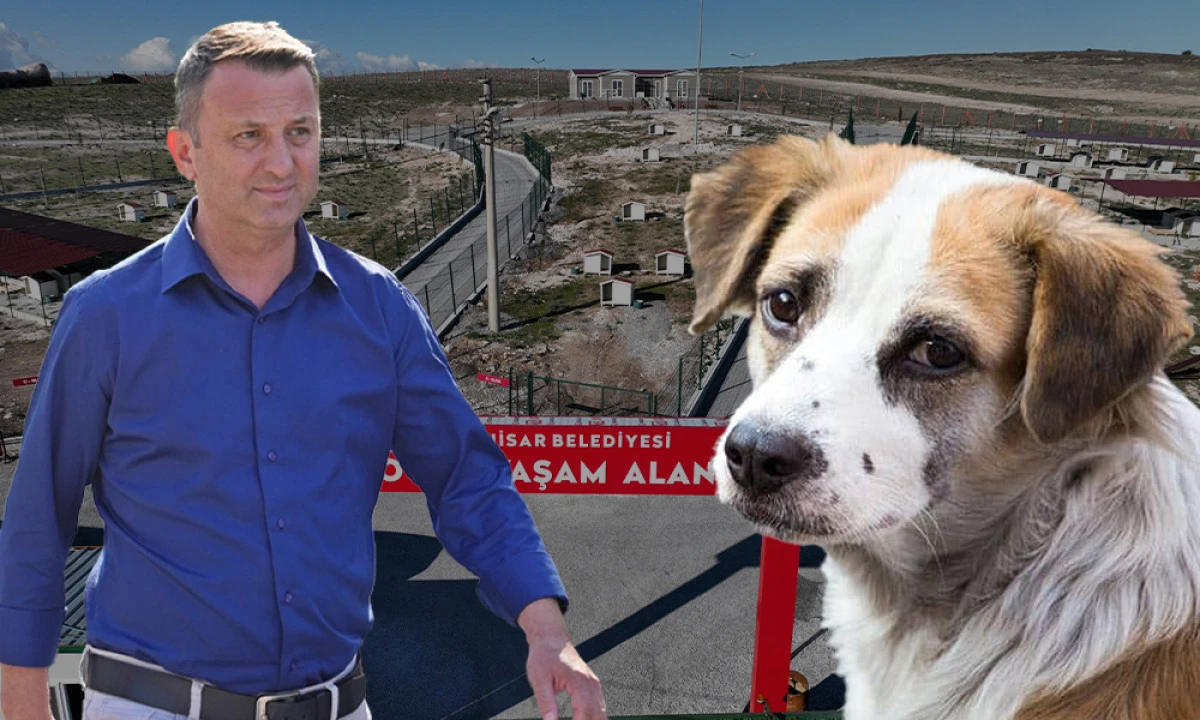 CAN DOSTLARIMIZ İÇİN RENKLİ ETKİNLİKLER DÜZENLEYECEK