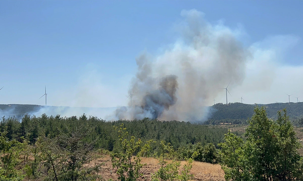 Çanakkale’de Orman Yangını