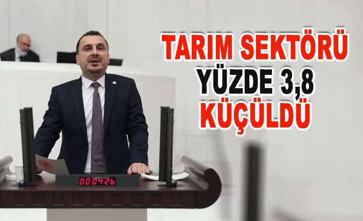 CHP&rsquo;Lİ BAŞEVİRGEN: 7,5 MİLYAR DOLAR YABANCI &Ccedil;İFT&Ccedil;İYE GİTTİ