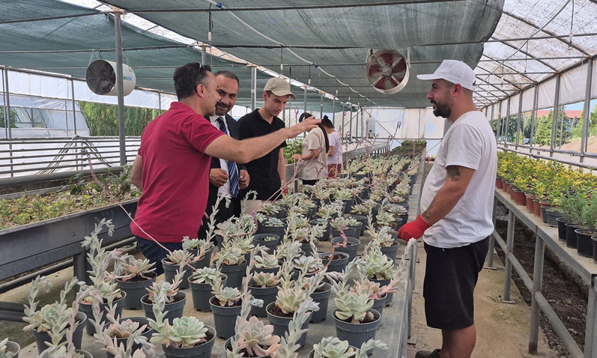 Doğal Afetlere Akıllı Sera ile Çözüm