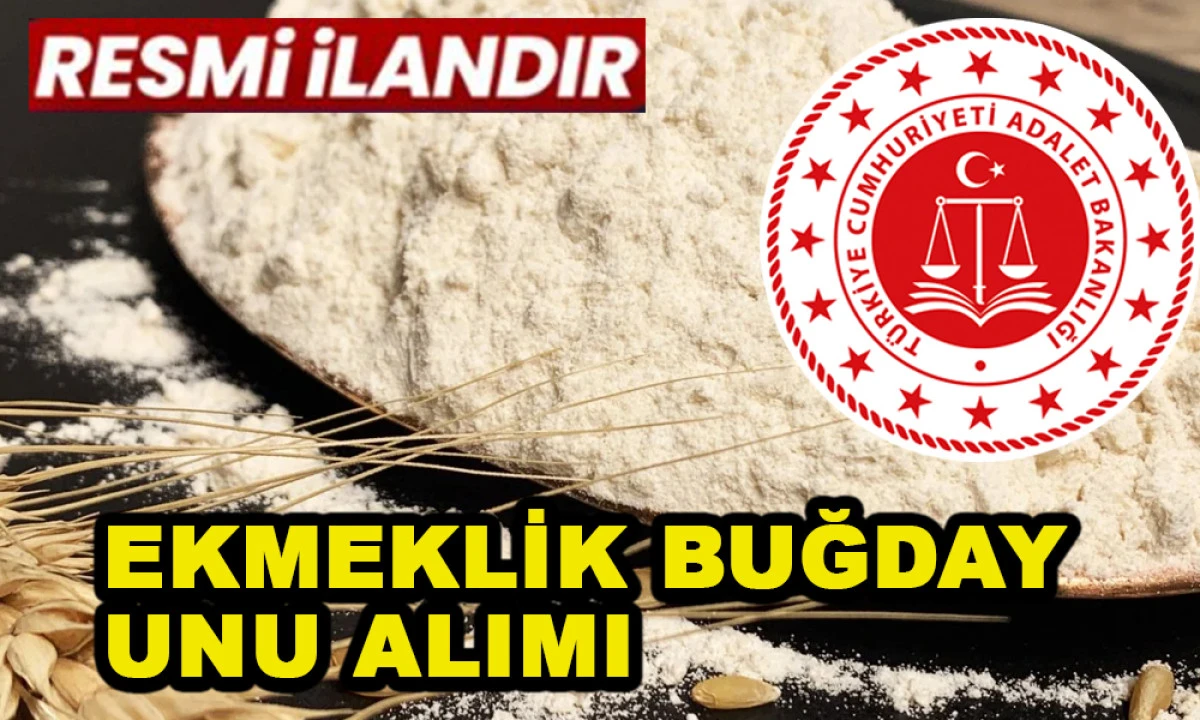 EKMEKLİK BUĞDAY UNU ALIMI