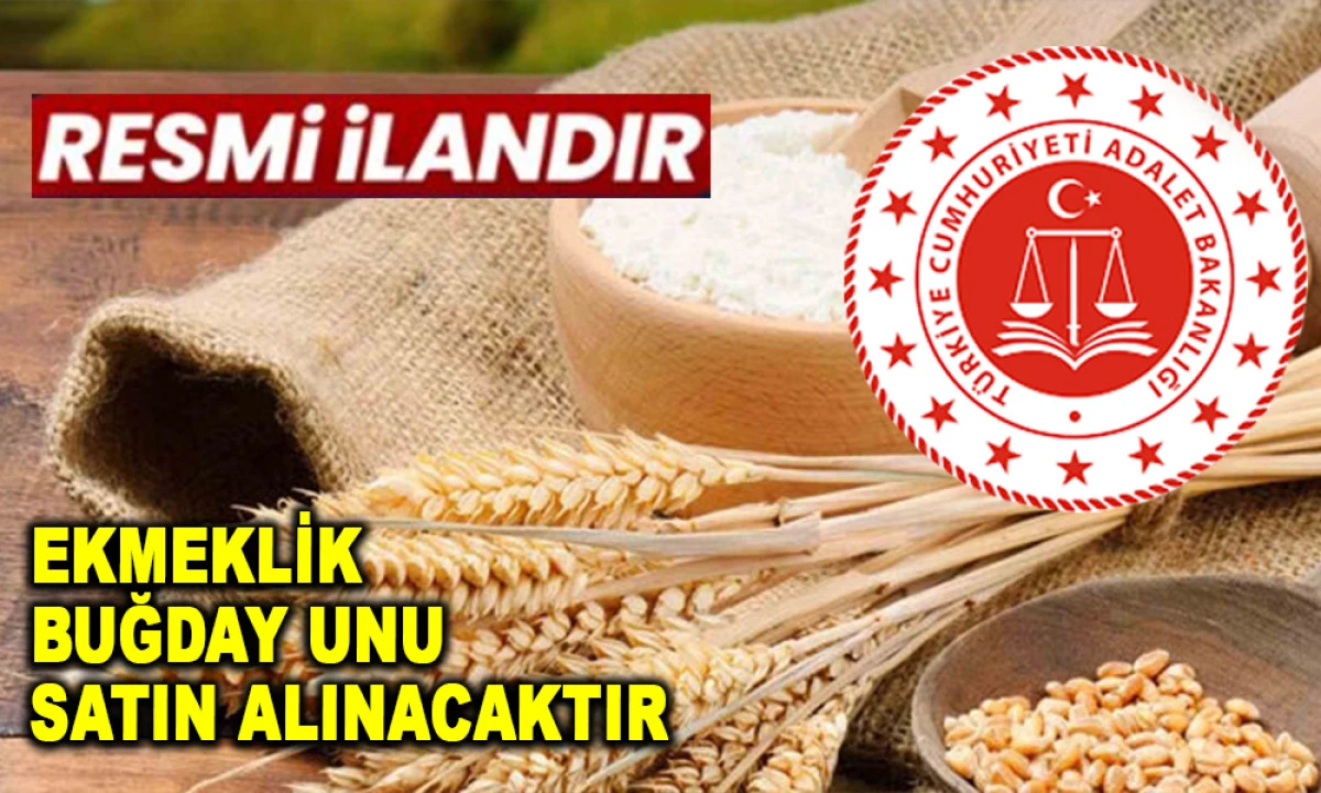 EKMEKLİK BUĞDAY UNU SATIN ALINACAKTIR