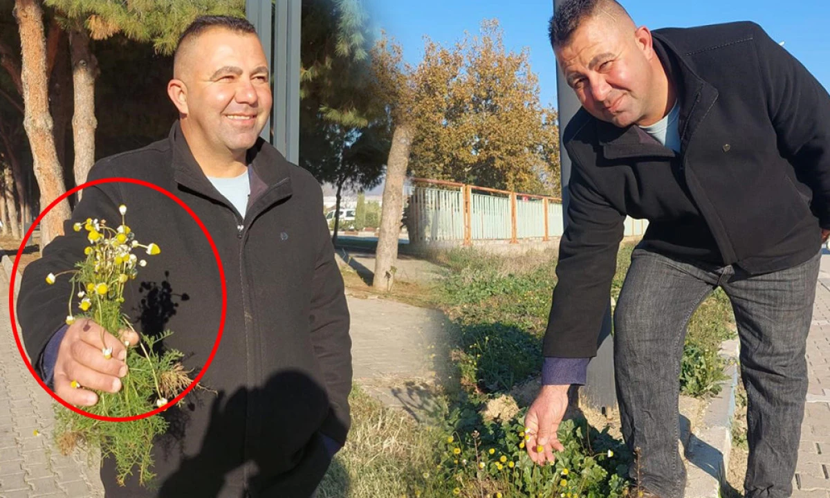 ERKEN BAHAR ALARMI: PAPATYALAR A&Ccedil;TI