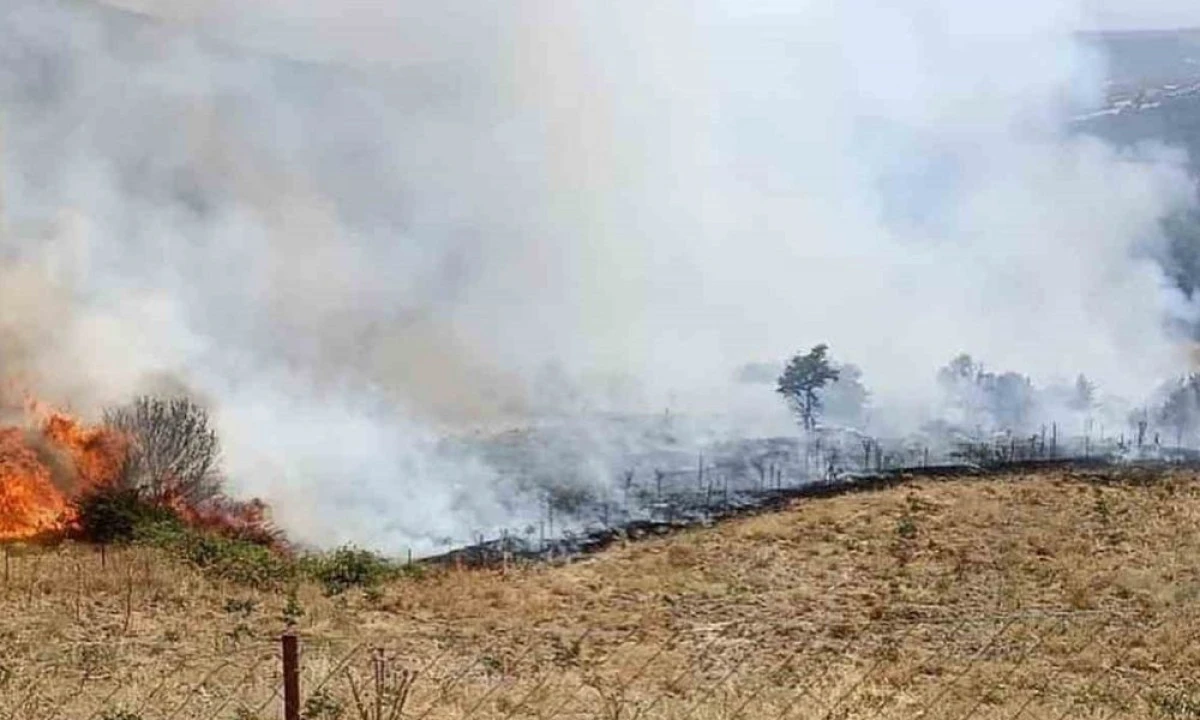 GÖRDES'TEKİ YANGINDAN SEVİNDİREN HABER GELDİ 