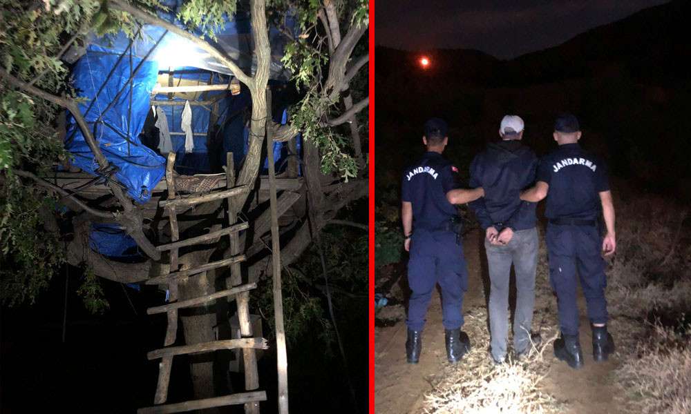 HAPİS CEZASIYLA ARANIYORDU, AĞACIN TEPESİNE KURDUĞU &Ccedil;ADIRDA YAKALANDI 