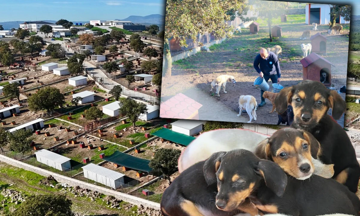 HAYVAN YAŞAM MERKEZİ CAN DOSTLARIMIZA SICAK YUVA OLUYOR