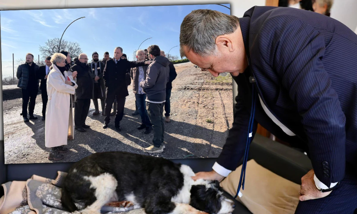 HAYVAN YAŞAM MERKEZİ'NDE &Ccedil;ALIŞMALAR S&Uuml;RECEK