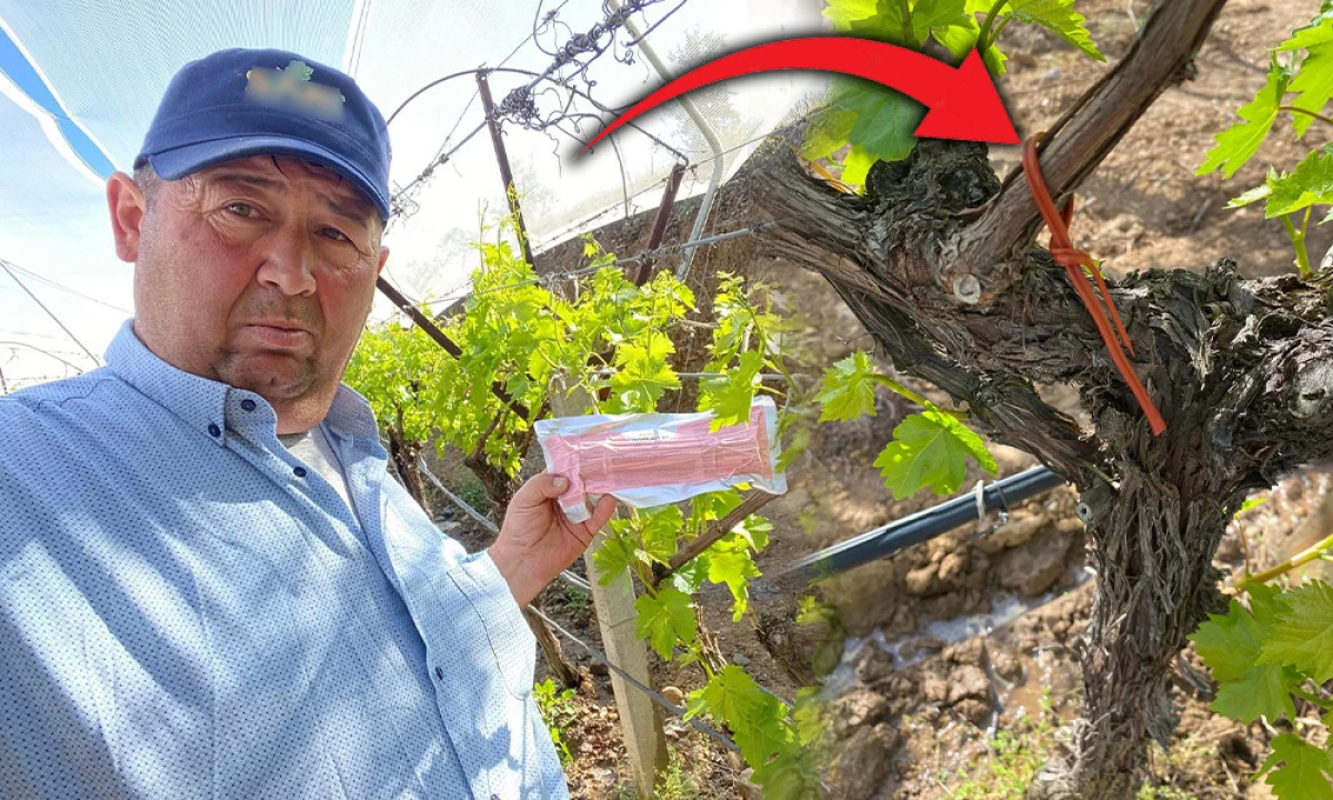 İL&Ccedil;EDE FENOMEN TEL SEFERBERLİĞİ