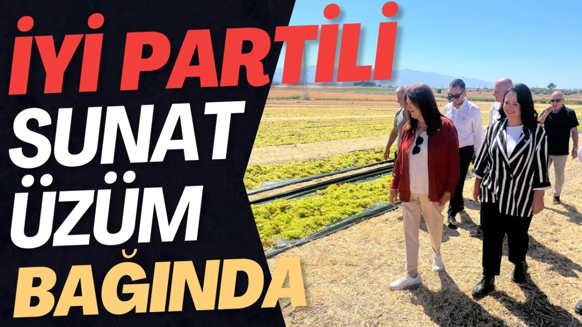 İYİ PARTİLİ SUNAT'TAN TMO'YA &Uuml;Z&Uuml;M &Ccedil;AĞRISI