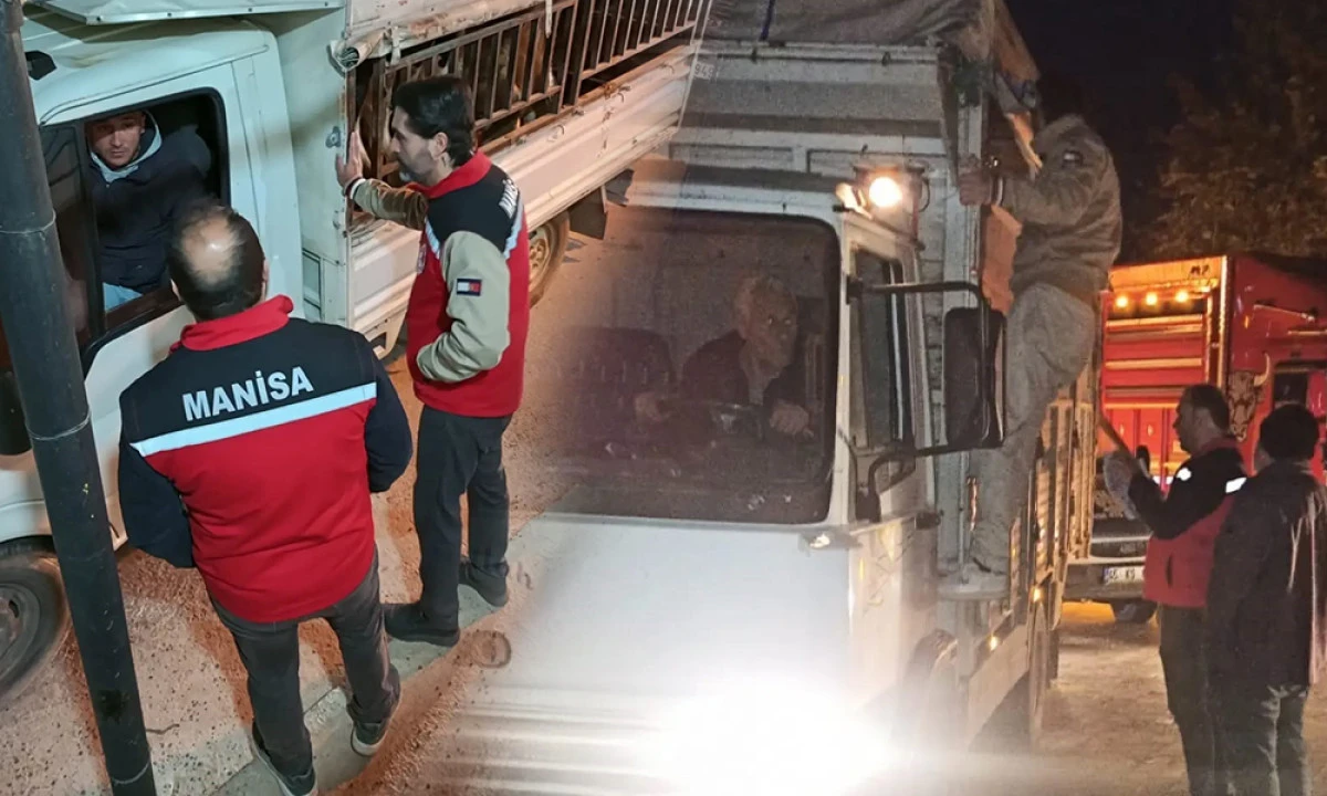 KA&Ccedil;AK HAYVAN SEVKİYATINA GE&Ccedil;İT YOK