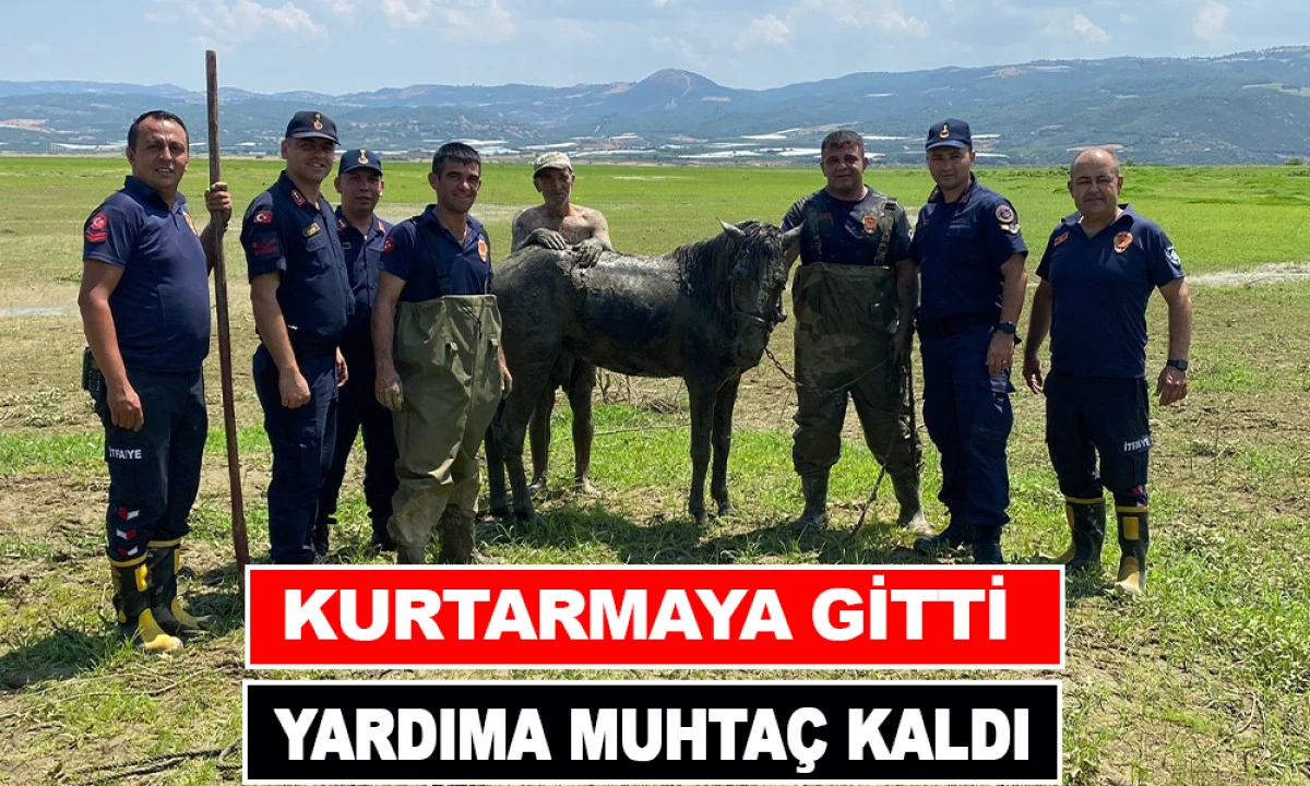 KATIRLARINI KURTARMAK İSTERKEN KENDİSİ DE BATTI