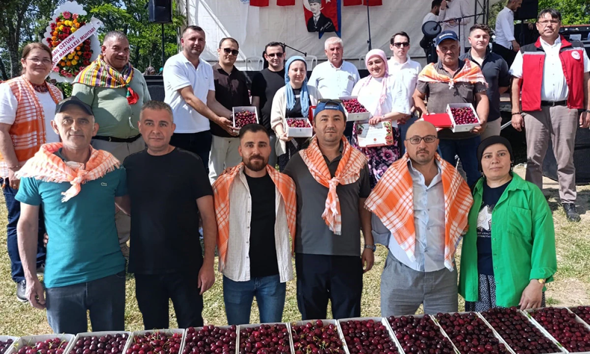 KİRAZ BEREKETİ ŞENLİĞE DÖNÜŞTÜ