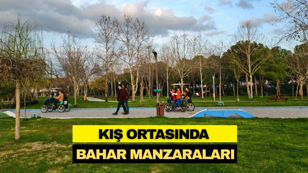 KIŞ ORTASINDA BAHAR MANZARALARI