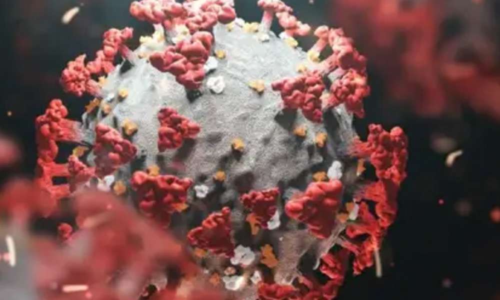 KORONAVİR&Uuml;S BİLİM KURULU &Uuml;YESİ ŞENER'DEN "PİROLA VARYANTI" UYARISI