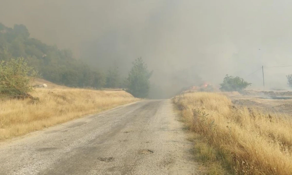  KULA’DA ORMAN YANGINI