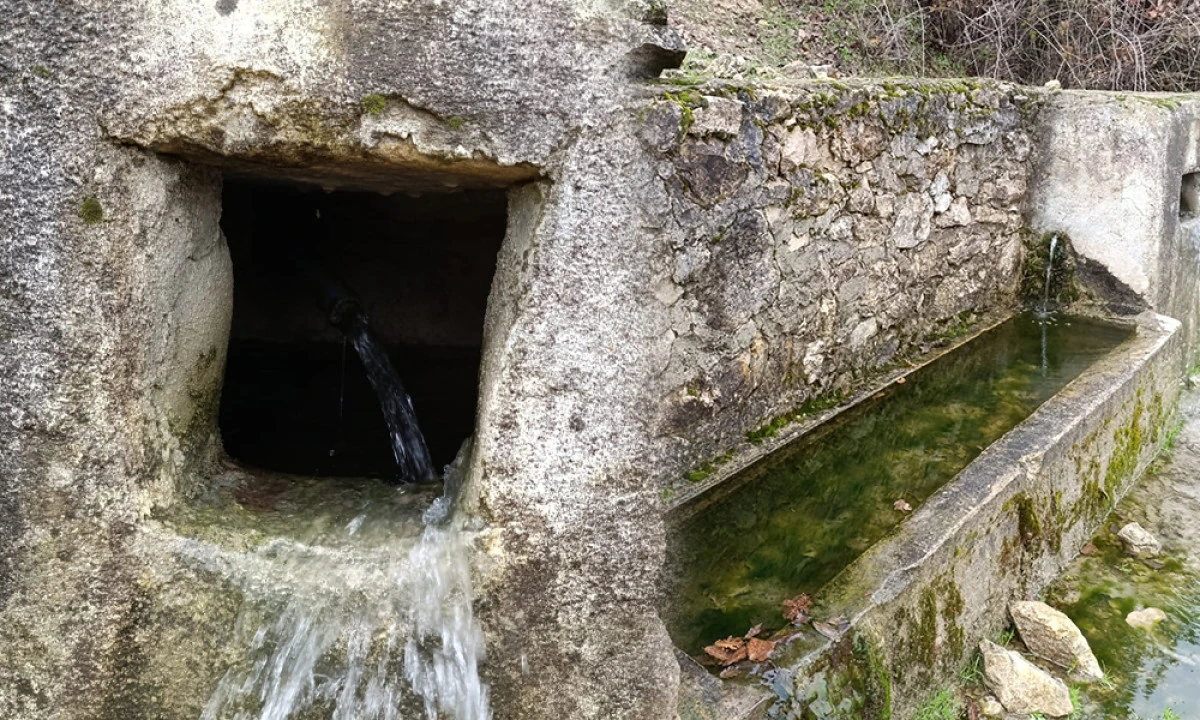 KURUYAN &Ccedil;EŞMELERDEN UMUT SESİ