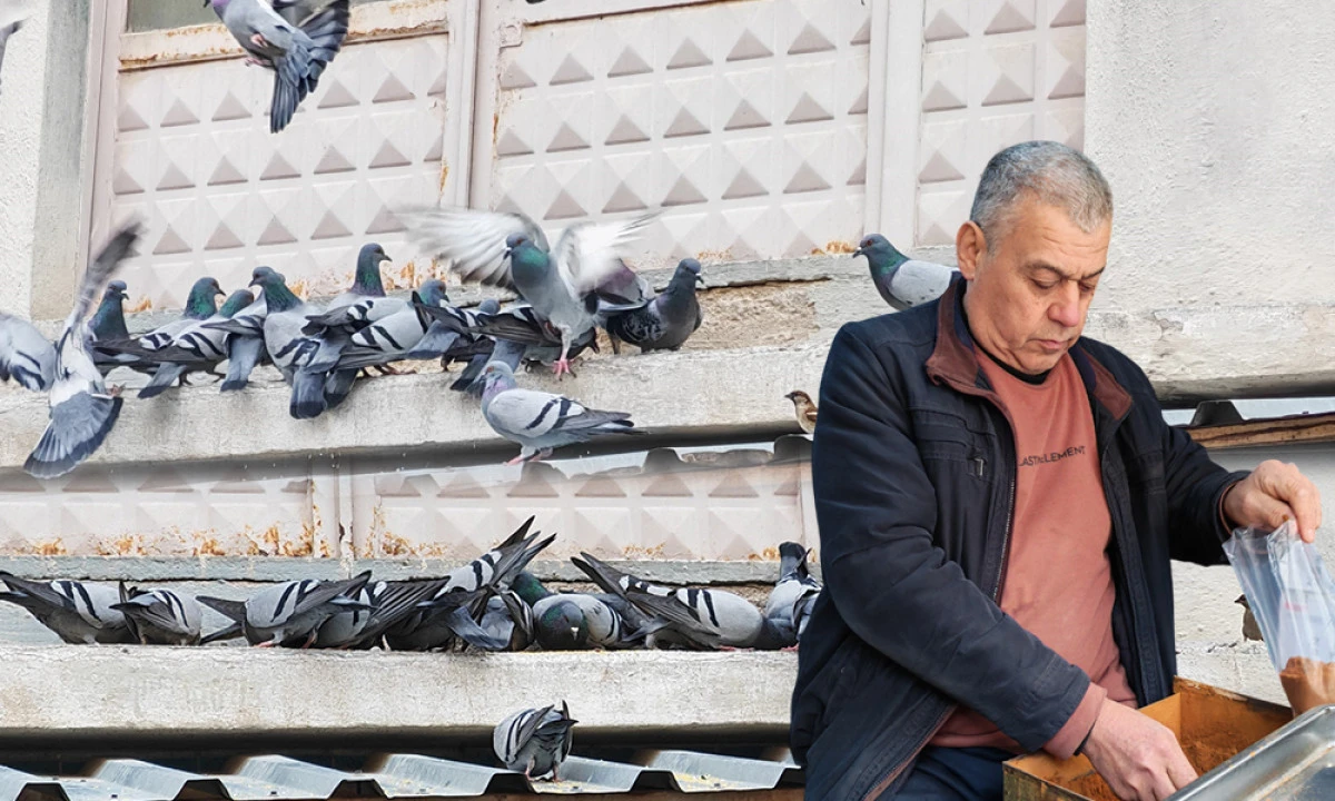 KUŞLARA HER SABAH SOFRA KURUYOR